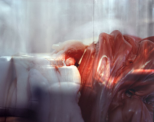 Anatomie