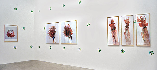 Galerie Seitz und Partner